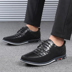 Oxford - Business Sneakers